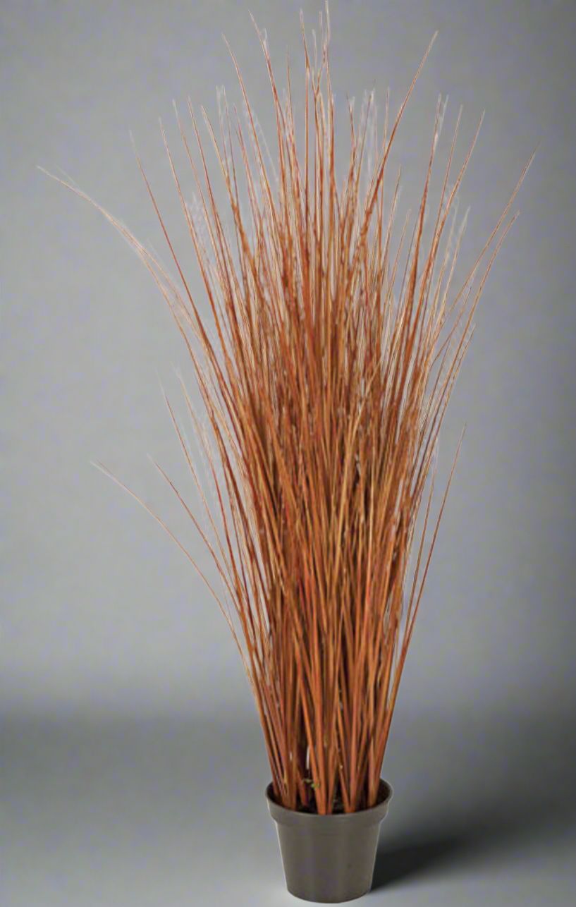 Onion Grass Bush 35”