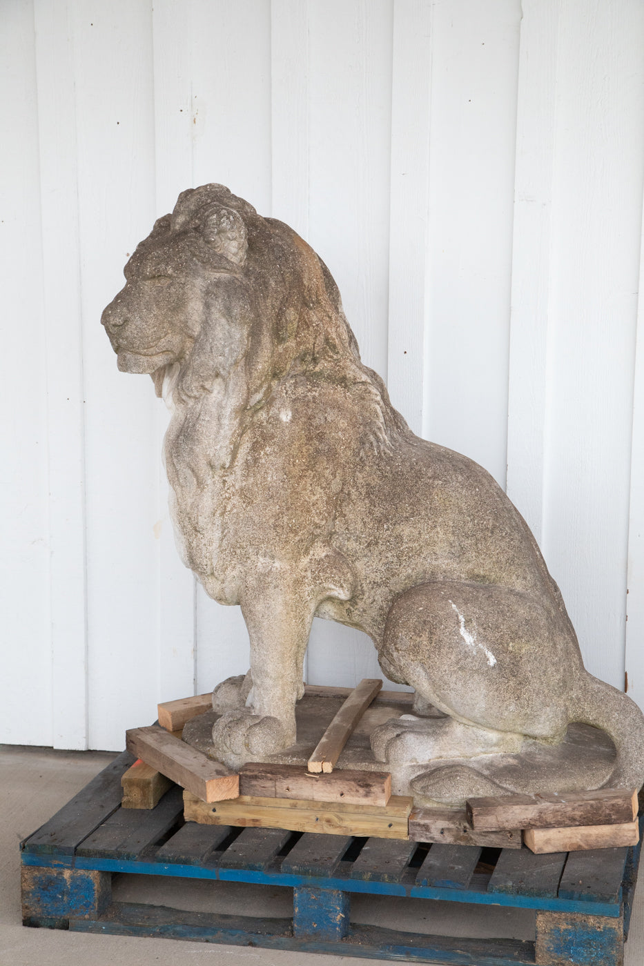 Large Concrete Lion