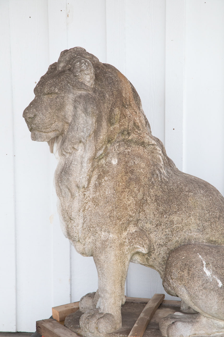 Large Concrete Lion