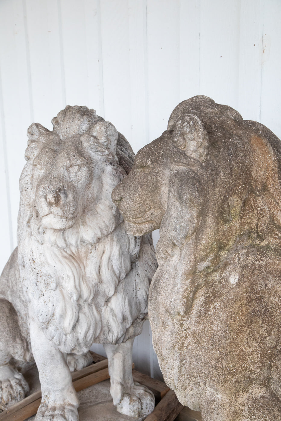 Large Concrete Lion