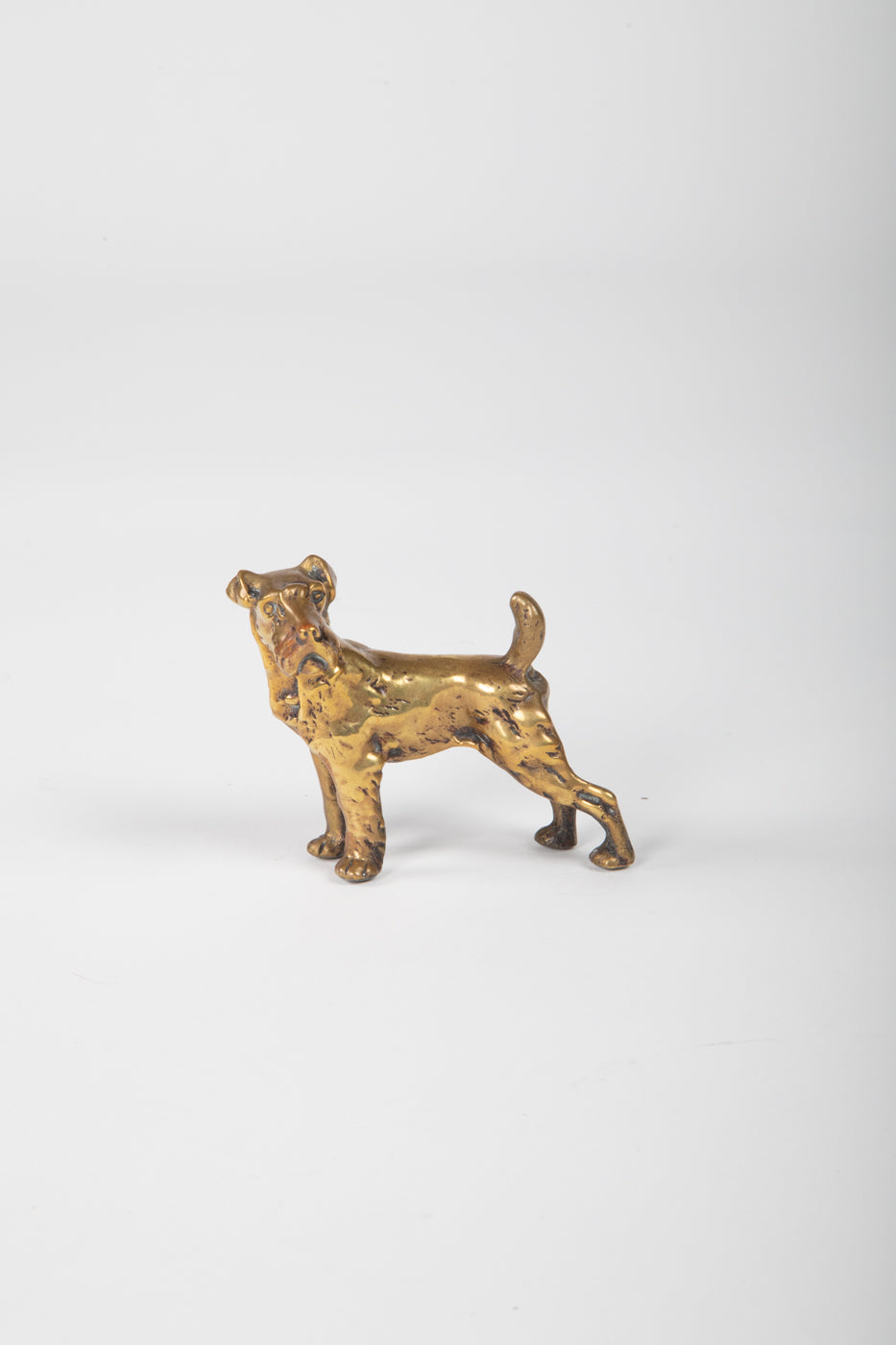 Various Small Brass Decorative Dogs