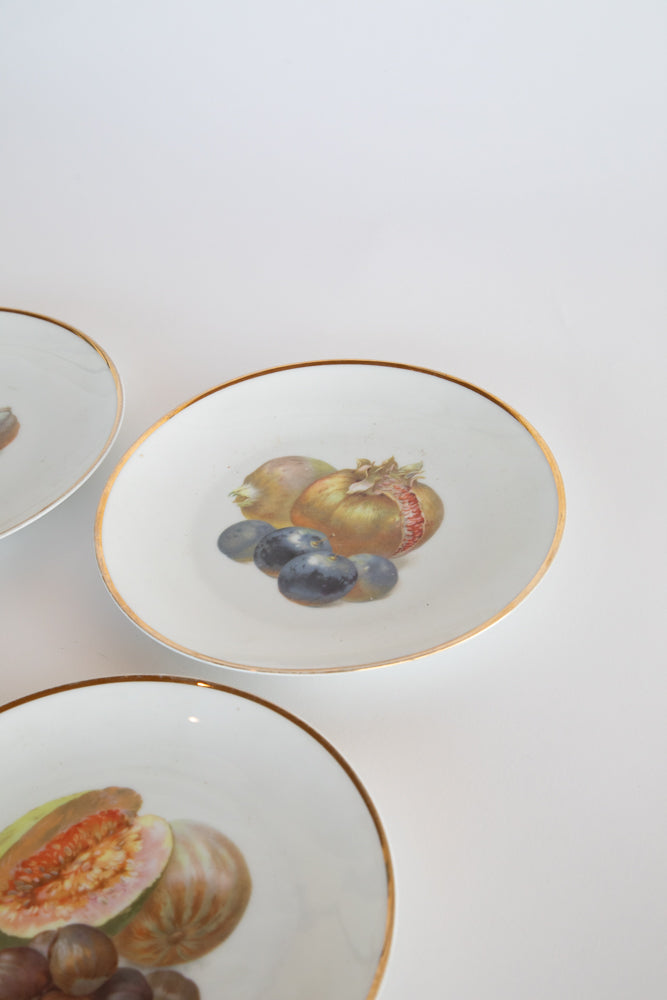 Set of 6 Bavarian Fruit Plates c.1870