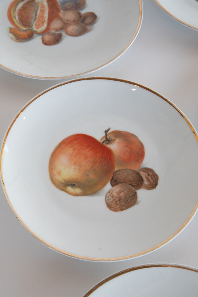 Set of 6 Bavarian Fruit Plates c.1870